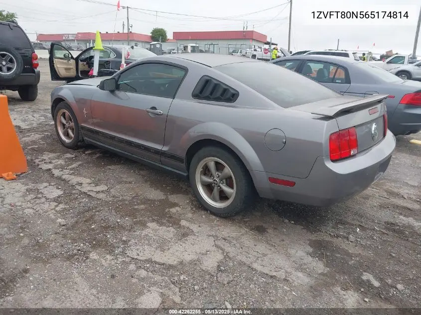 2006 Ford Mustang V6 VIN: 1ZVFT80N565174814 Lot: 42262255