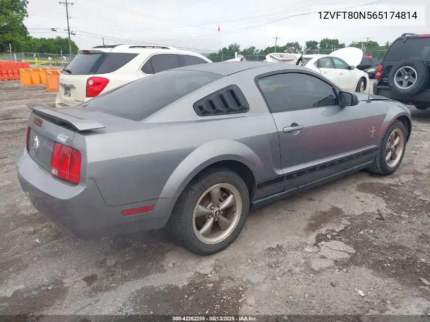 2006 Ford Mustang V6 VIN: 1ZVFT80N565174814 Lot: 42262255