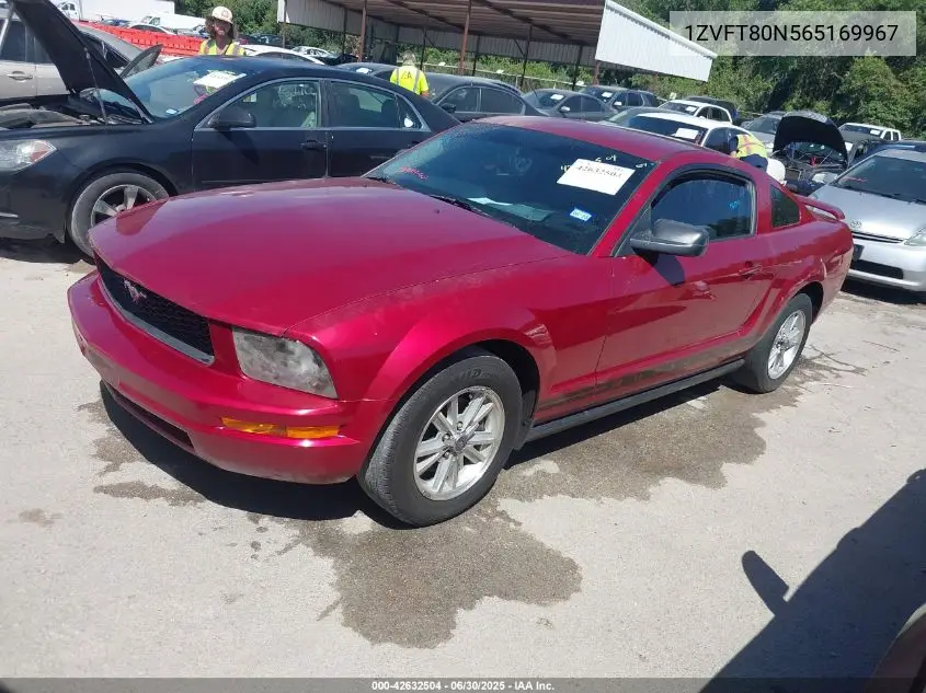 2006 Ford Mustang V6 VIN: 1ZVFT80N565169967 Lot: 42632504