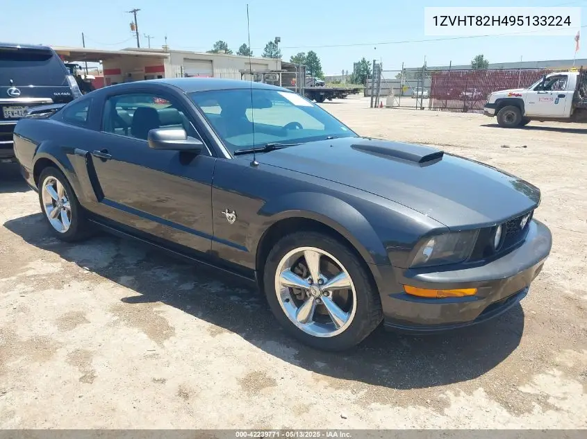 2009 Ford Mustang Gt/Gt Premium VIN: 1ZVHT82H495133224 Lot: 42239771