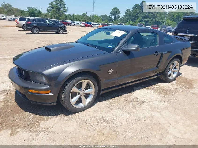 2009 Ford Mustang Gt/Gt Premium VIN: 1ZVHT82H495133224 Lot: 42239771