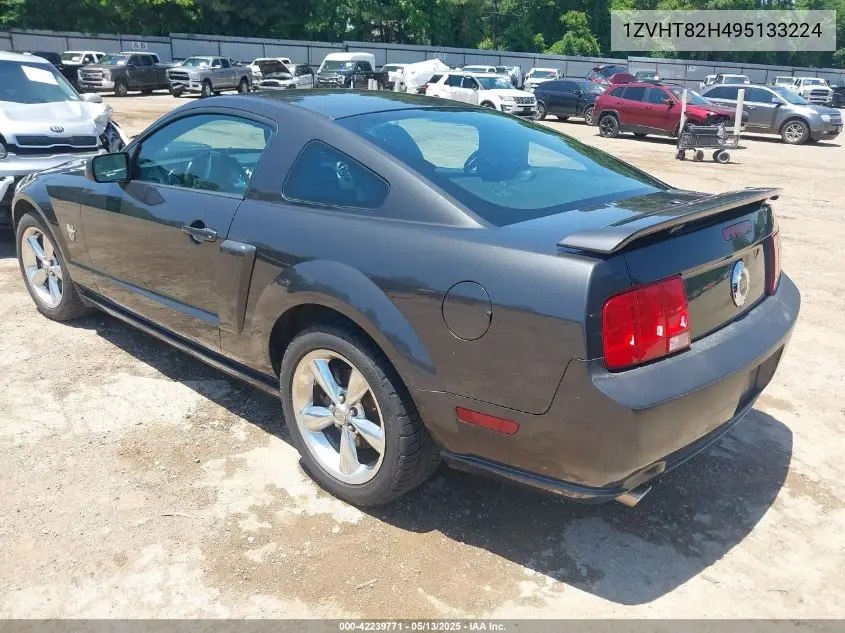 2009 Ford Mustang Gt/Gt Premium VIN: 1ZVHT82H495133224 Lot: 42239771