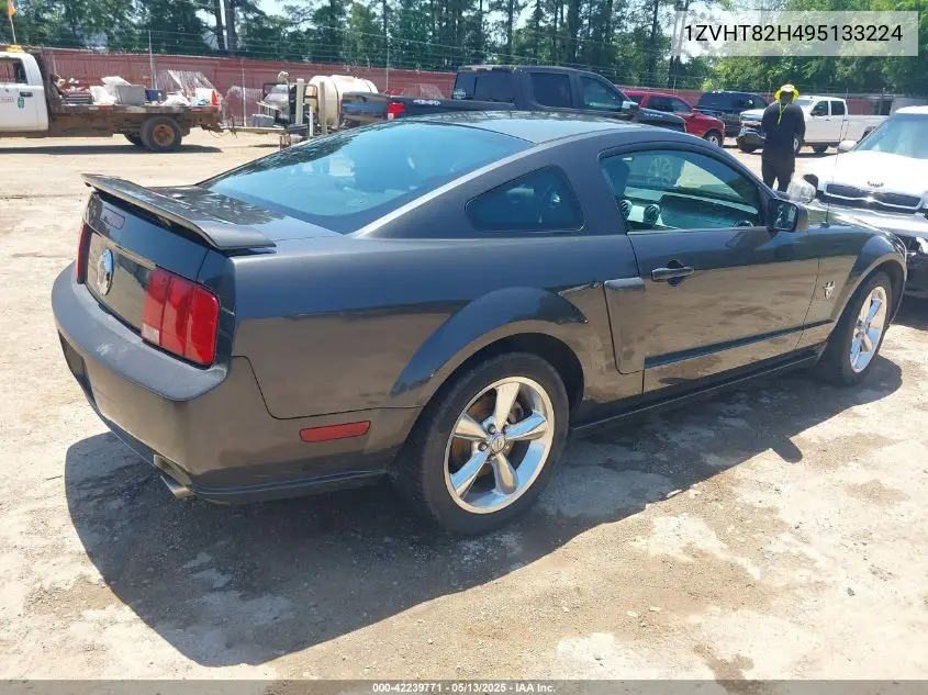 2009 Ford Mustang Gt/Gt Premium VIN: 1ZVHT82H495133224 Lot: 42239771