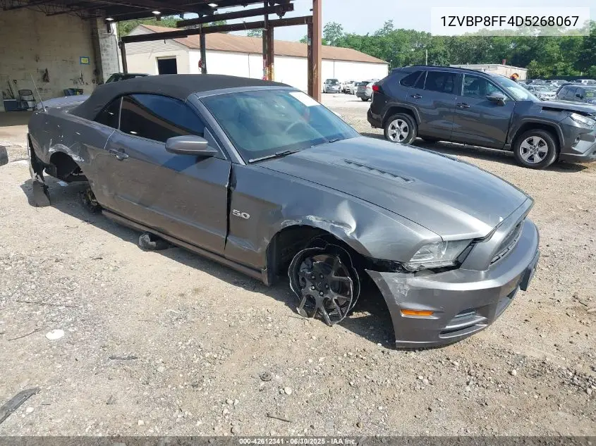 2013 Ford Mustang Gt Premium VIN: 1ZVBP8FF4D5268067 Lot: 42612341
