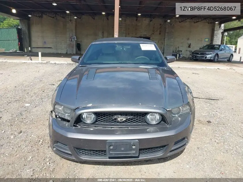 2013 Ford Mustang Gt Premium VIN: 1ZVBP8FF4D5268067 Lot: 42612341