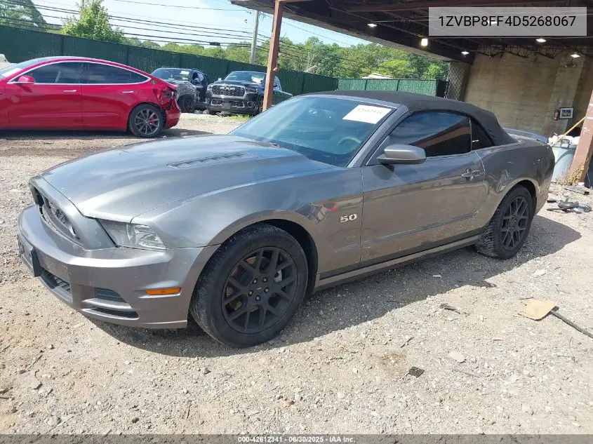 2013 Ford Mustang Gt Premium VIN: 1ZVBP8FF4D5268067 Lot: 42612341