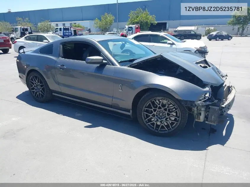 2013 Ford Shelby Gt500 VIN: 1ZVBP8JZ2D5235781 Lot: 42616515