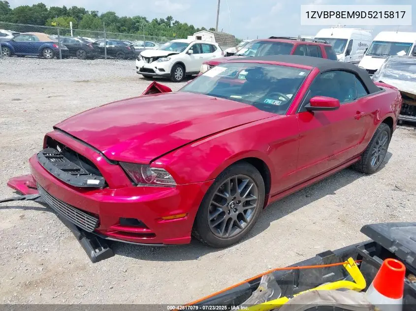 2013 Ford Mustang V6 Premium VIN: 1ZVBP8EM9D5215817 Lot: 42817079