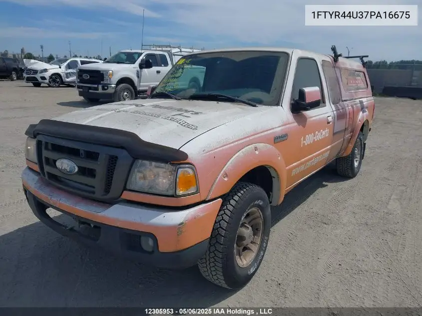 2007 Ford Ranger Super Cab VIN: 1FTYR44U37PA16675 Lot: 12305953