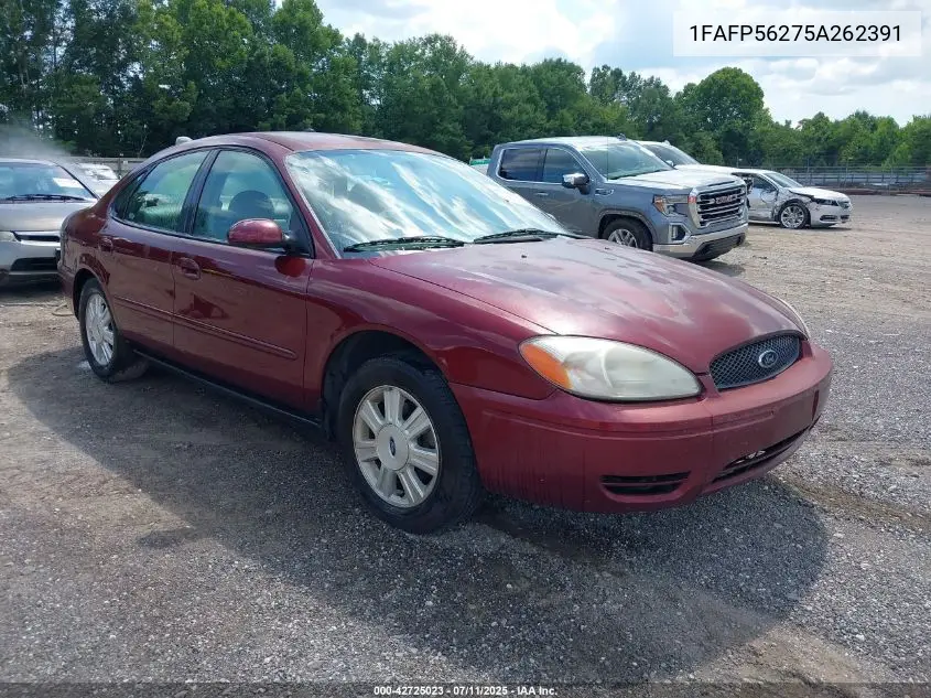 2005 Ford Taurus Sel VIN: 1FAFP56275A262391 Lot: 42725023