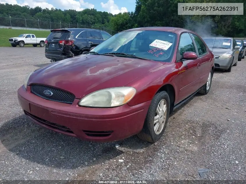 2005 Ford Taurus Sel VIN: 1FAFP56275A262391 Lot: 42725023