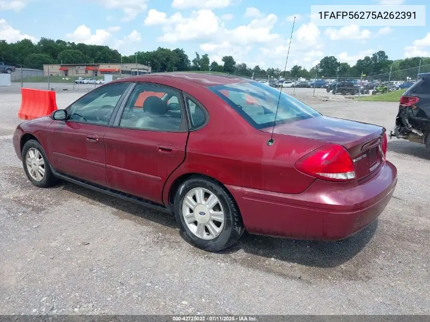 2005 Ford Taurus Sel VIN: 1FAFP56275A262391 Lot: 42725023