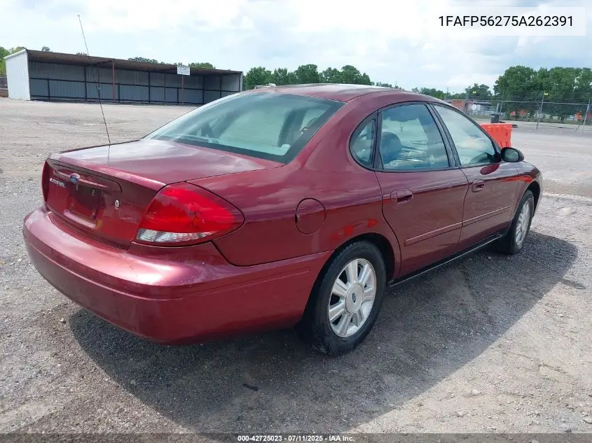 2005 Ford Taurus Sel VIN: 1FAFP56275A262391 Lot: 42725023