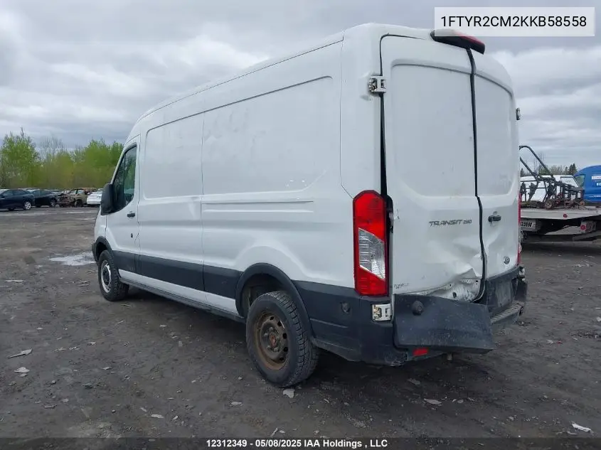 2019 Ford Transit VIN: 1FTYR2CM2KKB58558 Lot: 12312349