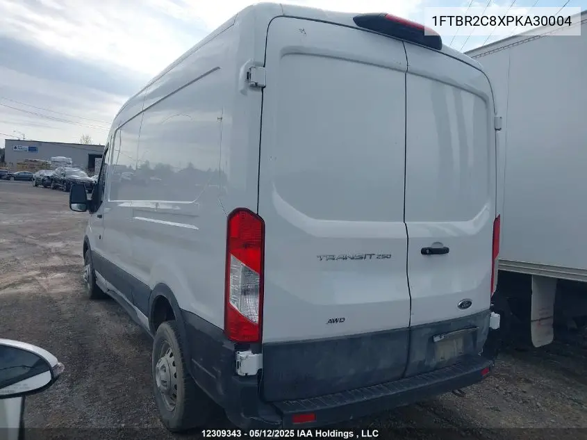 2023 Ford Transit T-250 VIN: 1FTBR2C8XPKA30004 Lot: 12309343
