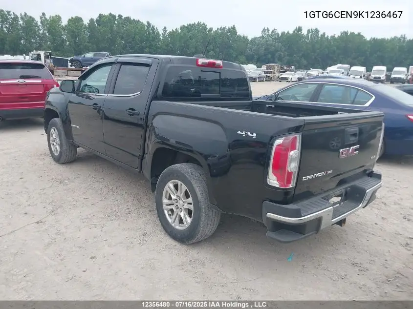 2019 GMC Canyon Sle VIN: 1GTG6CEN9K1236467 Lot: 12356480