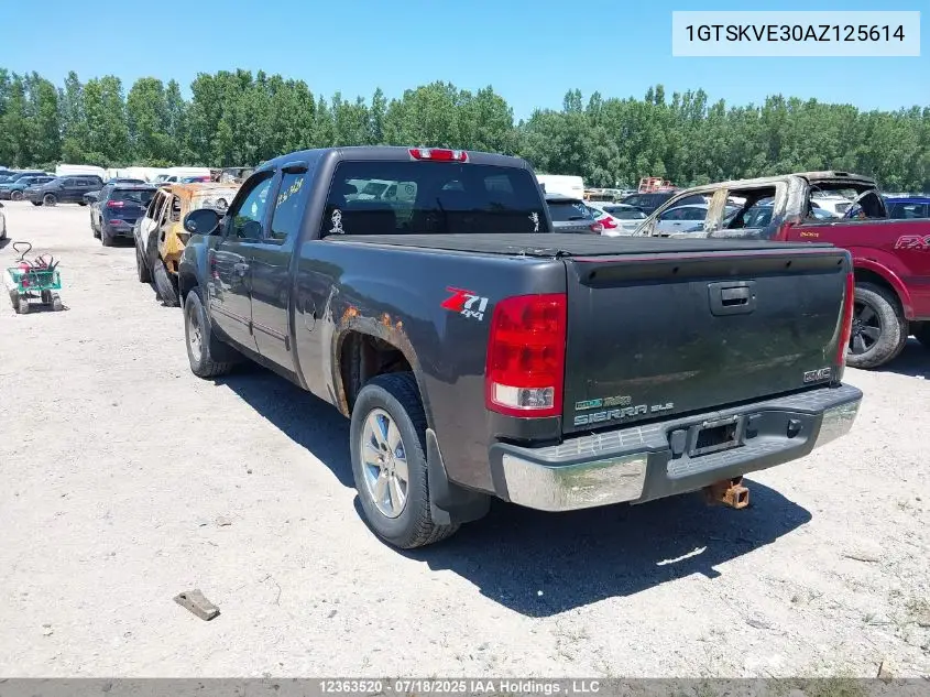 2010 GMC Sierra 1500 VIN: 1GTSKVE30AZ125614 Lot: 12363520