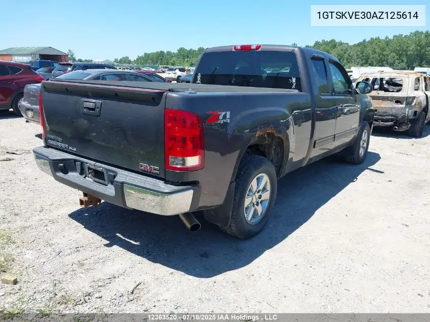 2010 GMC Sierra 1500 VIN: 1GTSKVE30AZ125614 Lot: 12363520