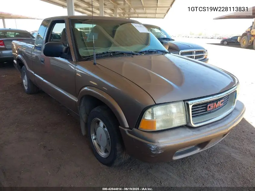 2002 GMC Sonoma Sls VIN: 1GTCS19W228113831 Lot: 42544814