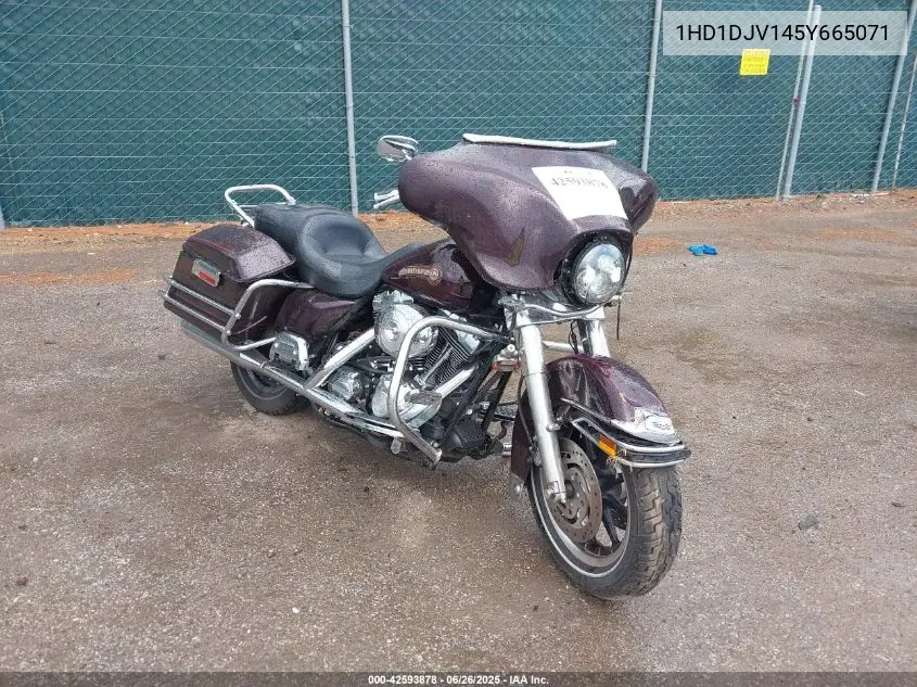 2005 Harley-Davidson Flht Classic VIN: 1HD1DJV145Y665071 Lot: 42593878