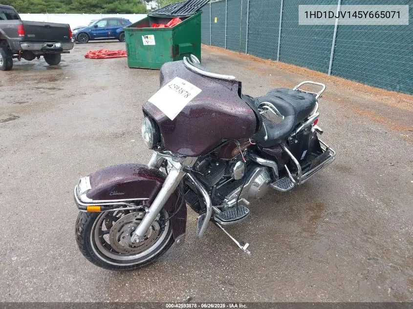 2005 Harley-Davidson Flht Classic VIN: 1HD1DJV145Y665071 Lot: 42593878