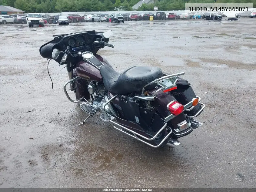 2005 Harley-Davidson Flht Classic VIN: 1HD1DJV145Y665071 Lot: 42593878
