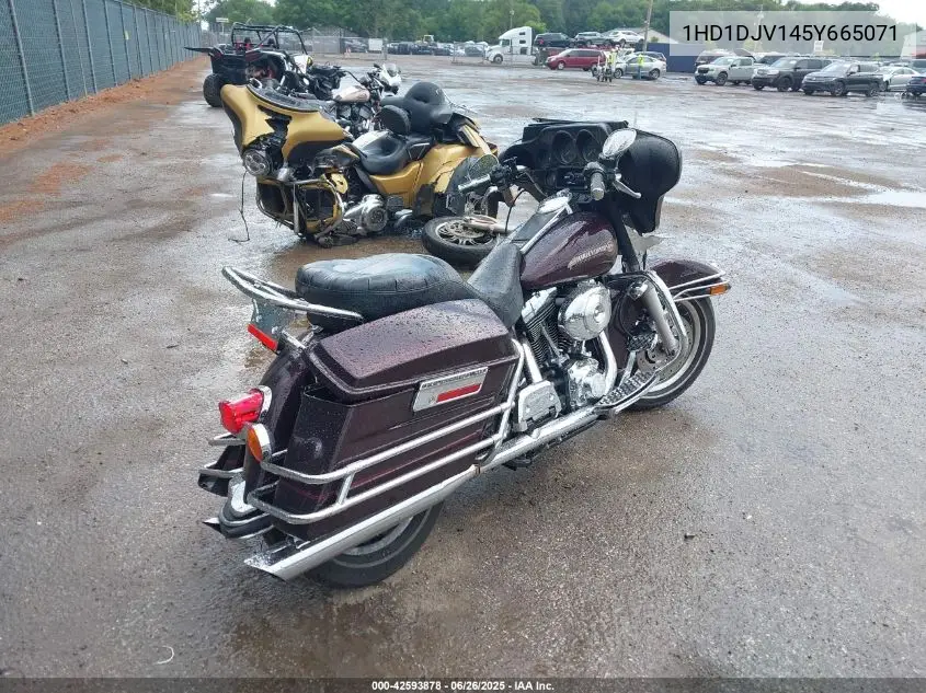 2005 Harley-Davidson Flht Classic VIN: 1HD1DJV145Y665071 Lot: 42593878