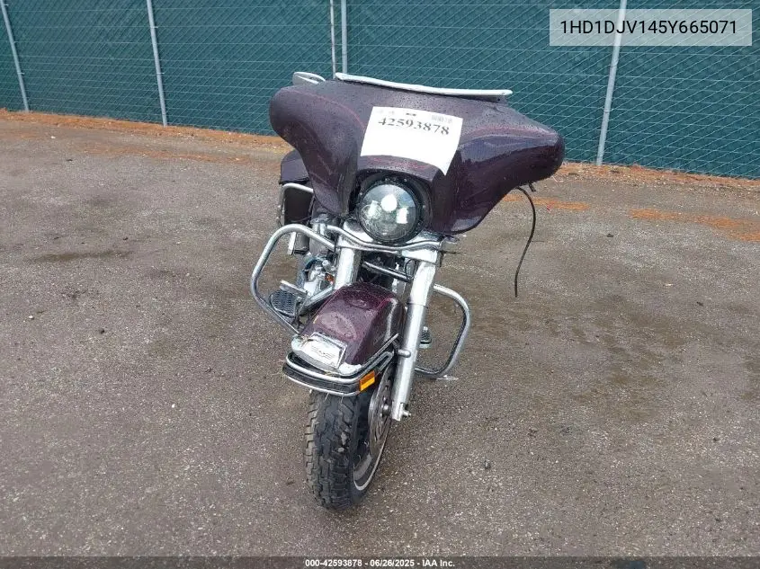 2005 Harley-Davidson Flht Classic VIN: 1HD1DJV145Y665071 Lot: 42593878