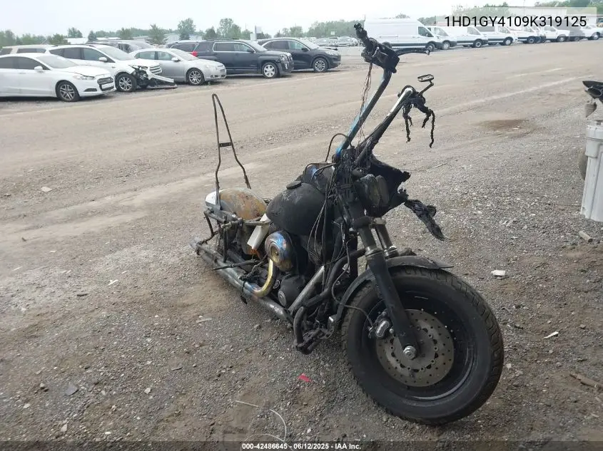2009 Harley-Davidson Fxdf VIN: 1HD1GY4109K319125 Lot: 42486645