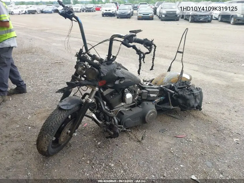2009 Harley-Davidson Fxdf VIN: 1HD1GY4109K319125 Lot: 42486645