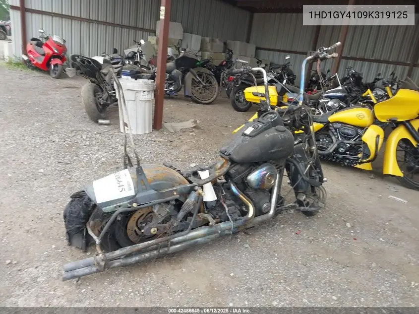 2009 Harley-Davidson Fxdf VIN: 1HD1GY4109K319125 Lot: 42486645