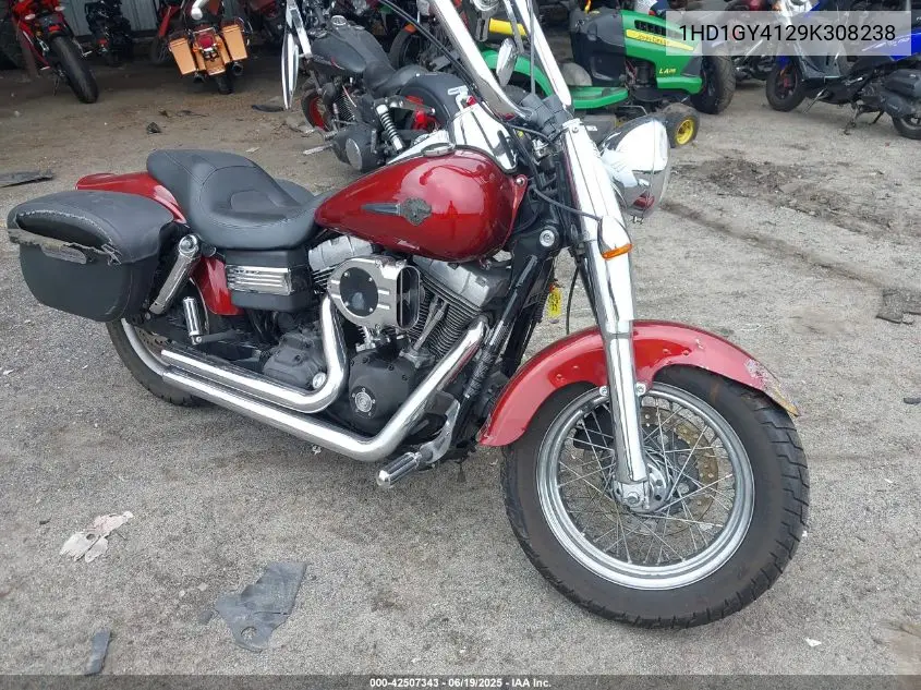 2009 Harley-Davidson Fxdf VIN: 1HD1GY4129K308238 Lot: 42507343