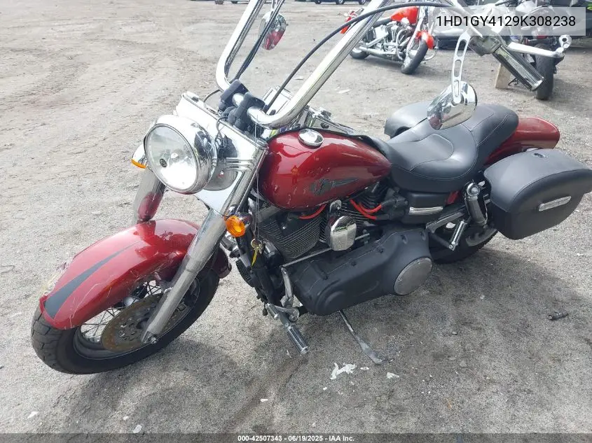 2009 Harley-Davidson Fxdf VIN: 1HD1GY4129K308238 Lot: 42507343