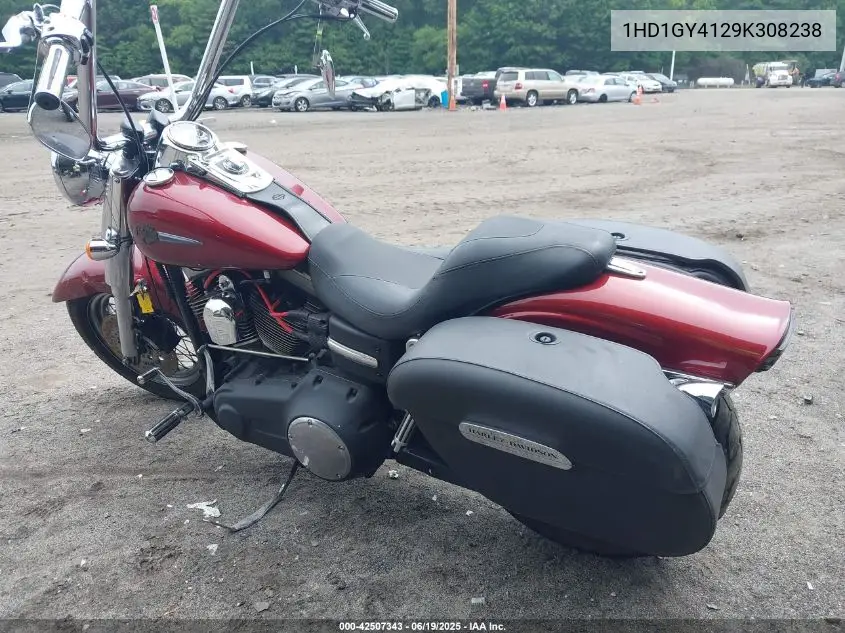 2009 Harley-Davidson Fxdf VIN: 1HD1GY4129K308238 Lot: 42507343
