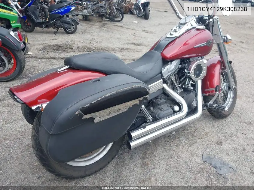 2009 Harley-Davidson Fxdf VIN: 1HD1GY4129K308238 Lot: 42507343