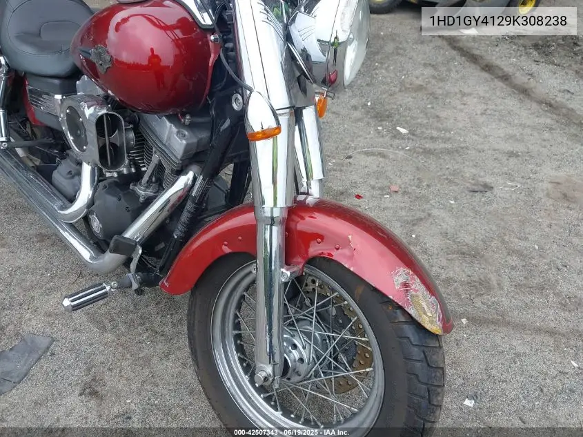 2009 Harley-Davidson Fxdf VIN: 1HD1GY4129K308238 Lot: 42507343