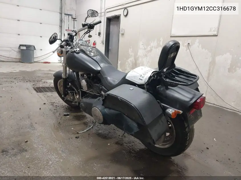 2012 Harley-Davidson Fxdf Dyna Fat Bob VIN: 1HD1GYM12CC316678 Lot: 42515921