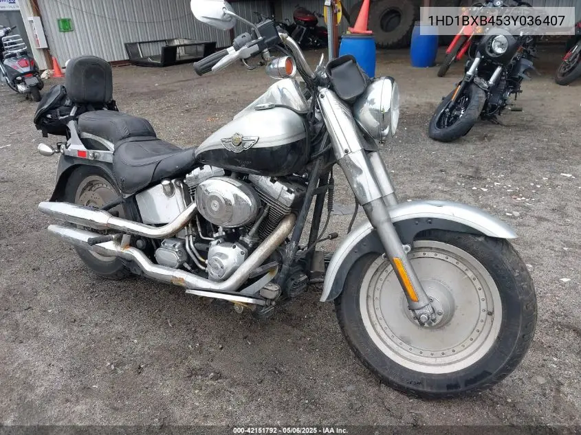 2003 Harley-Davidson Flstfi Anniversary VIN: 1HD1BXB453Y036407 Lot: 42151792