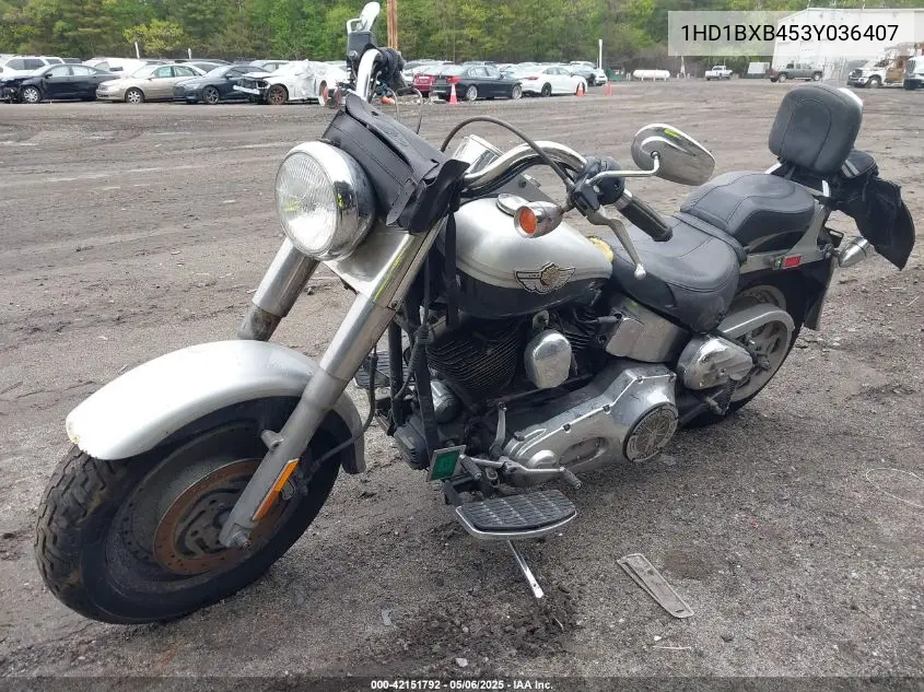 2003 Harley-Davidson Flstfi Anniversary VIN: 1HD1BXB453Y036407 Lot: 42151792