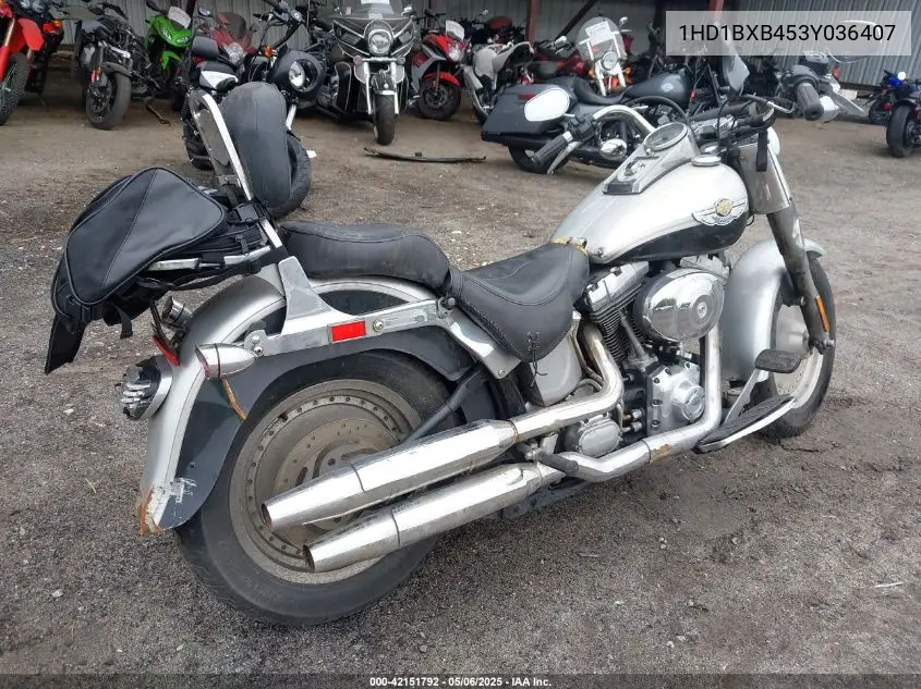 2003 Harley-Davidson Flstfi Anniversary VIN: 1HD1BXB453Y036407 Lot: 42151792