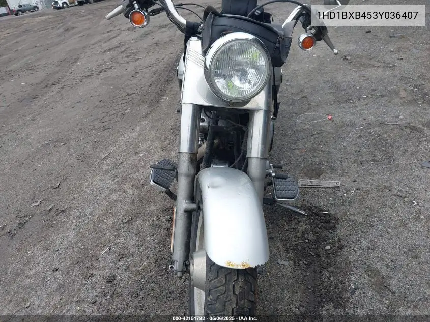 2003 Harley-Davidson Flstfi Anniversary VIN: 1HD1BXB453Y036407 Lot: 42151792