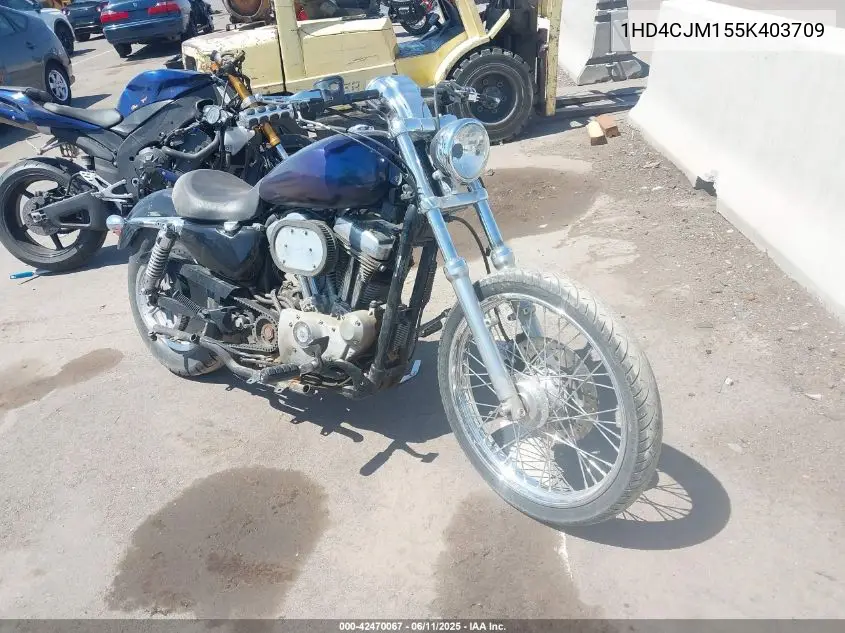 2005 Harley-Davidson Xl883 C VIN: 1HD4CJM155K403709 Lot: 42470067