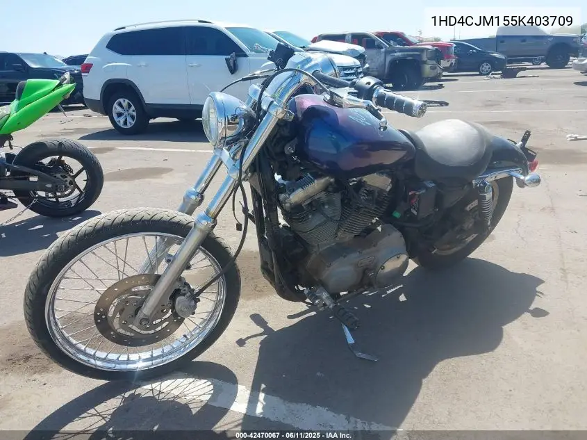 2005 Harley-Davidson Xl883 C VIN: 1HD4CJM155K403709 Lot: 42470067