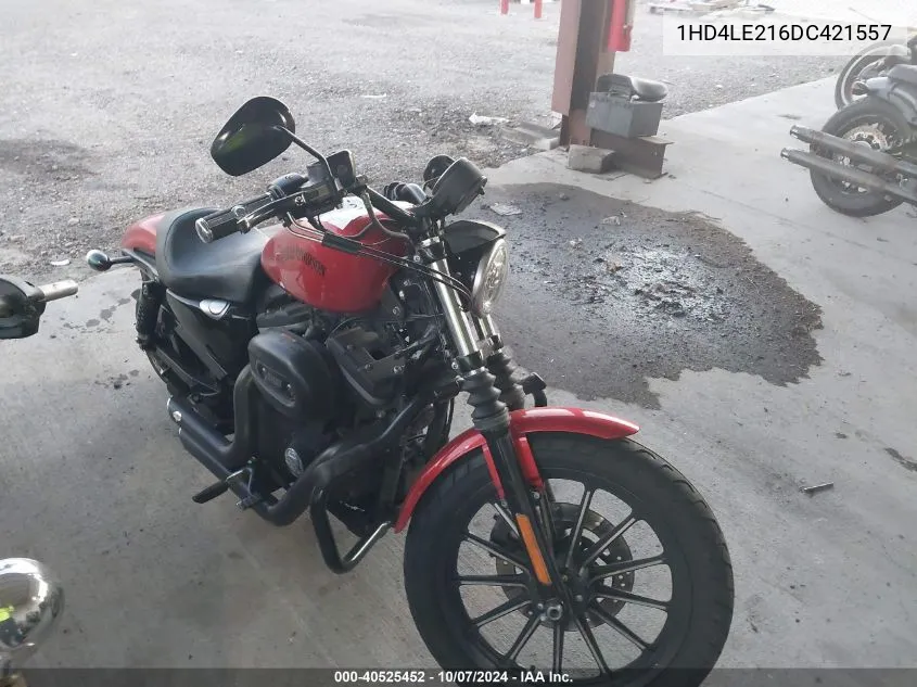 2013 Harley-Davidson Xl883 Iron 883 VIN: 1HD4LE216DC421557 Lot: 40525452