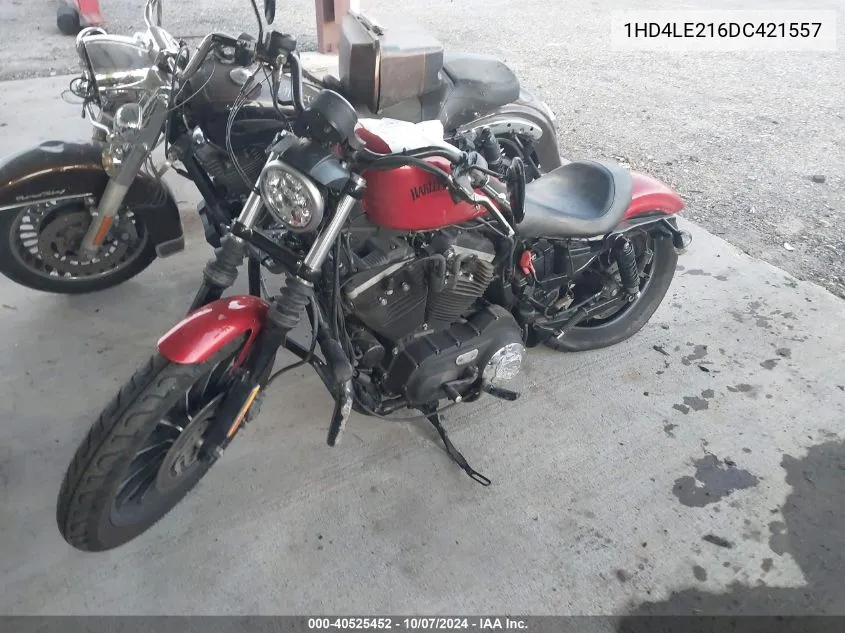 2013 Harley-Davidson Xl883 Iron 883 VIN: 1HD4LE216DC421557 Lot: 40525452