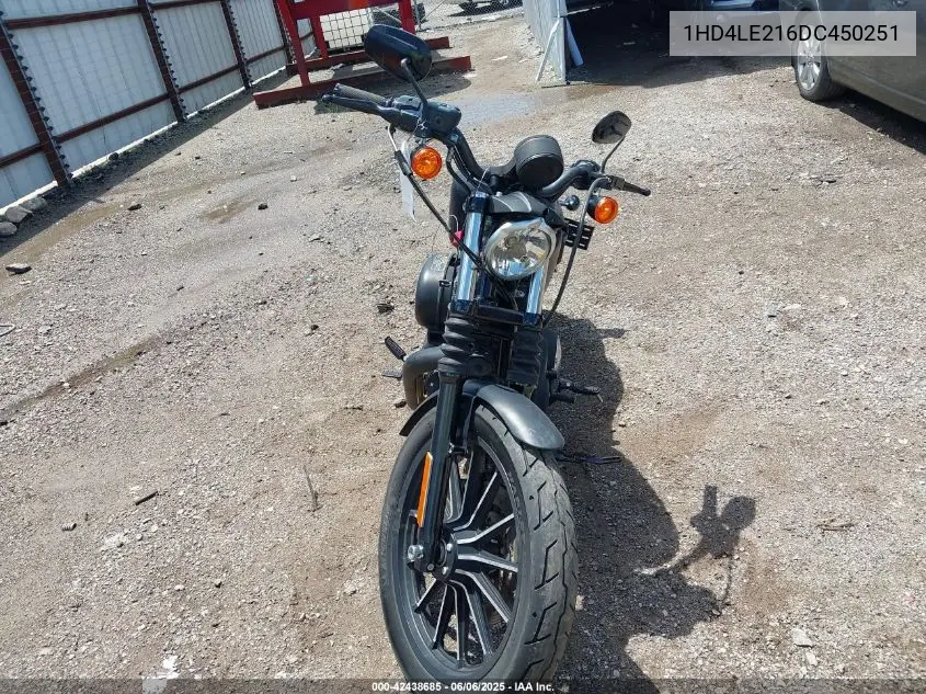 2013 Harley-Davidson Xl883 Iron 883 VIN: 1HD4LE216DC450251 Lot: 42438685