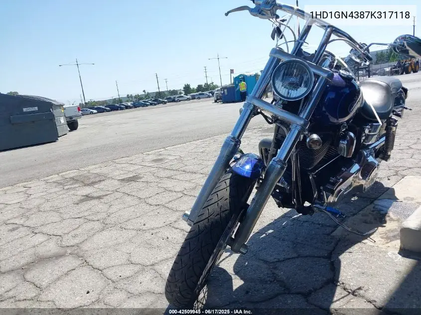2007 Harley-Davidson Fxdl VIN: 1HD1GN4387K317118 Lot: 42509945