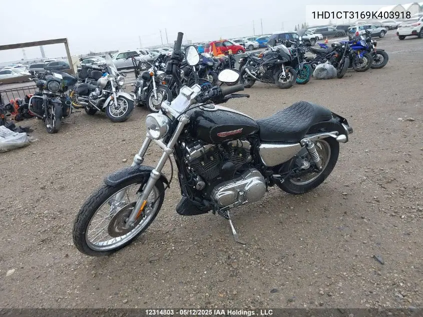 2009 Harley-Davidson Xl1200 C VIN: 1HD1CT3169K403918 Lot: 12314803