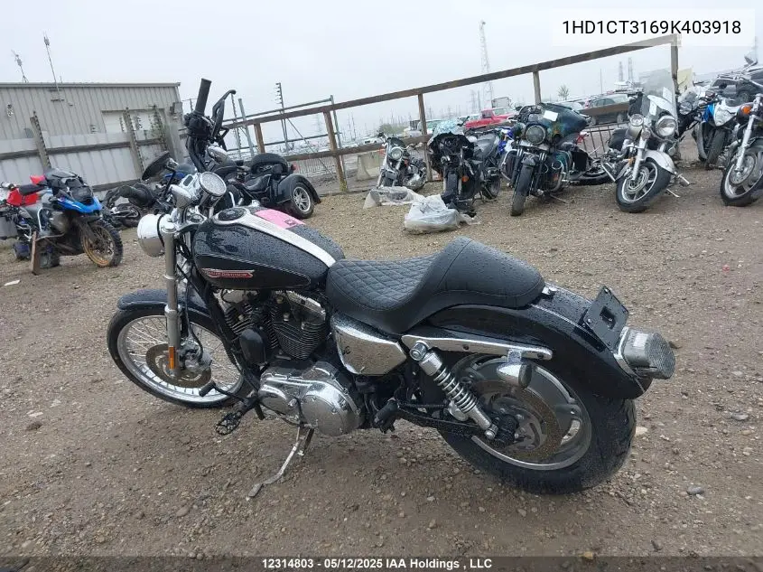 2009 Harley-Davidson Xl1200 C VIN: 1HD1CT3169K403918 Lot: 12314803