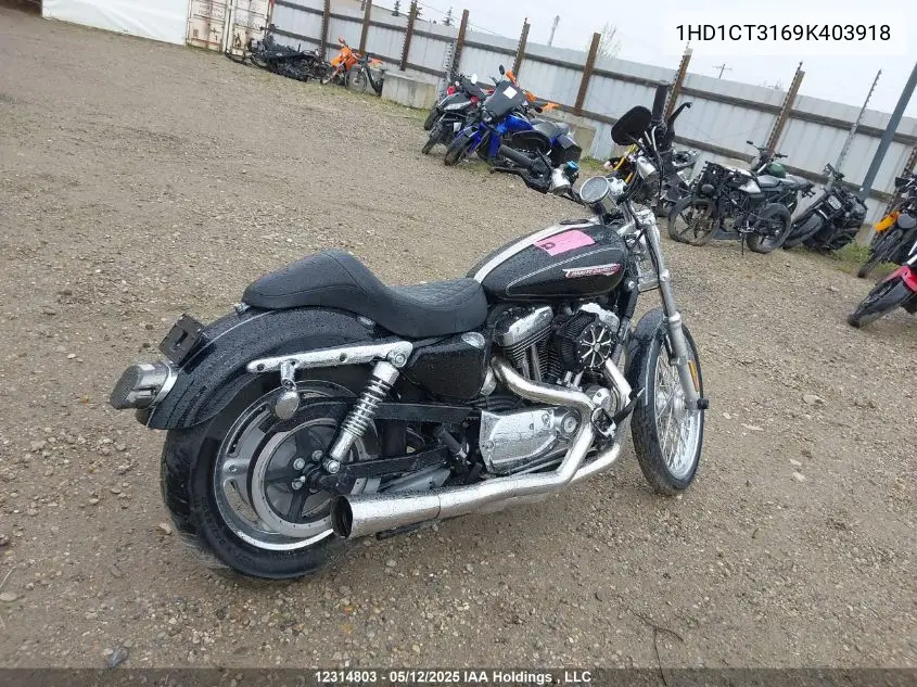 2009 Harley-Davidson Xl1200 C VIN: 1HD1CT3169K403918 Lot: 12314803